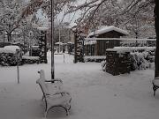 18-12-2010  ore 08-32   Loc. Piedimonte-Gorizia  49