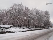 18-12-2010  ore 08-35   Loc. Piedimonte-Gorizia  52