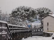 18-12-2010  ore 09-01   Loc.  Gorizia-Castello  01