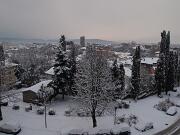 18-12-2010  ore 09-11   Loc.  Gorizia-Castello  05