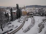 18-12-2010  ore 09-12   Loc.  Gorizia-Castello  07