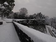 18-12-2010  ore 09-14   Loc.  Gorizia-Castello  08