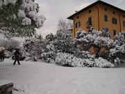 18-12-2010  ore 09-18   Loc.  Gorizia-Castello  11