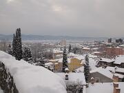 18-12-2010  ore 09-24   Loc.  Gorizia-Castello  16