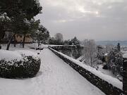 18-12-2010  ore 09-24   Loc.  Gorizia-Castello  17