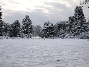 18-12-2010  ore 09-39   Loc. Gorizia  31