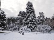 18-12-2010  ore 09-40   Loc. Gorizia  32