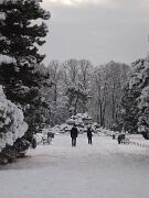 18-12-2010  ore 09-40   Loc. Gorizia  33