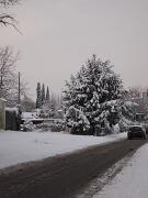 18-12-2010  ore 09-48   Loc. Gorizia  36