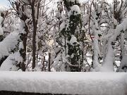 18-12-2010  ore 11-18   Loc. Gorizia  37