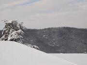 18-12-2010  ore 11-27   Loc. Gorizia  40