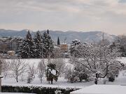 18-12-2010  ore 11-27   Loc. Gorizia  41