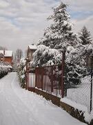 18-12-2010  ore 11-41   Loc. Gorizia  44