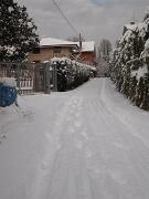 18-12-2010  ore 11-41   Loc. Gorizia  45