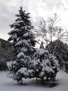 18-12-2010  ore 11-41   Loc. Gorizia  46