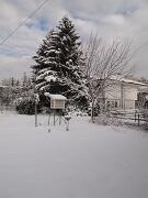 18-12-2010  ore 11-42   Loc. Gorizia  47