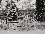 18-12-2010  ore 11-45   Loc. Gorizia  49