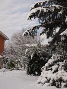 18-12-2010  ore 11-45   Loc. Gorizia  50