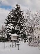 18-12-2010  ore 11-47   Loc. Gorizia  51