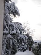 18-12-2010  ore 11-47   Loc. Gorizia  52