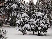 18-12-2010  ore 11-51   Loc. Gorizia  53