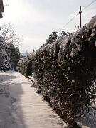 18-12-2010  ore 11-54   Loc. Gorizia  55