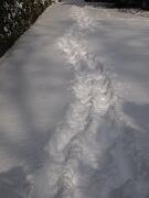 18-12-2010  ore 11-54   Loc. Gorizia  56