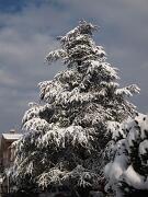 18-12-2010  ore 11-55   Loc. Gorizia  57