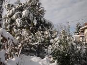 18-12-2010  ore 11-55   Loc. Gorizia  58