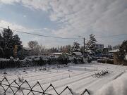 18-12-2010  ore 11-56   Loc. Gorizia  59