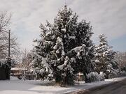 18-12-2010  ore 11-56   Loc. Gorizia  60