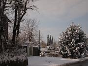 18-12-2010  ore 11-57   Loc. Gorizia  61