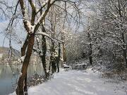 18-12-2010  ore 11-57   Loc. Gorizia 03