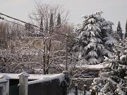 18-12-2010  ore 12-01   Loc. Gorizia  62