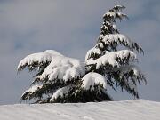 18-12-2010  ore 12-01   Loc. Gorizia  63