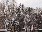 18-12-2010  ore 12-02   Loc. Gorizia  64