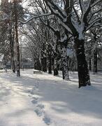 18-12-2010  ore 12-12   Loc. Gorizia 04