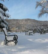 18-12-2010  ore 12-12   Loc. Gorizia 08