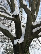 18-12-2010  ore 12-21   Loc. Gorizia 12