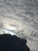 18-12-2010  ore 12-33   Loc. Gorizia 14