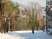 18-12-2010  ore 14-40   Loc. Gorizia 18