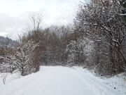 19-12-2010  ore 15-11   Loc. Visentini - (Gorizia)  02