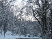 19-12-2010  ore 15-18   Loc. Rupa-Gorizia  02