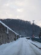 19-12-2010  ore 15-20   Loc. Rupa-Gorizia  03