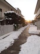 19-12-2010  ore 15-47   Loc. Piedimonte-Gorizia  80