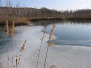 05 febbraio 2012 - Lago delle Mucille - Ronchi dei Legionari  04