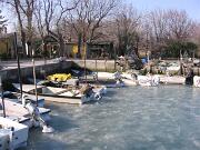 05 febbraio 2012 - Punta Sdobba - Foce dell'Isonzo  05