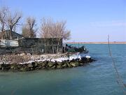 05 febbraio 2012 - Punta Sdobba - Foce dell'Isonzo  09