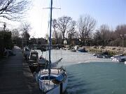 05 febbraio 2012 - Punta Sdobba - Foce dell'Isonzo  12