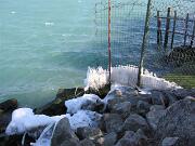 05 febbraio 2012 - Punta Sdobba - Foce dell'Isonzo  13